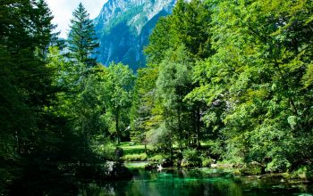 Wallpaper Green Trees Near Lake Under Blue Sky