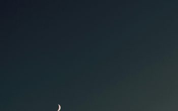 Wallpaper White Crescent Moon in the Sky
