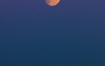 Wallpaper A Full Moon Above Trees