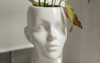 Wallpaper A White Vase with a Plant Inside