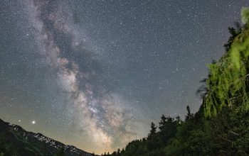 Wallpaper A Road with Trees and a Starry Sky Above