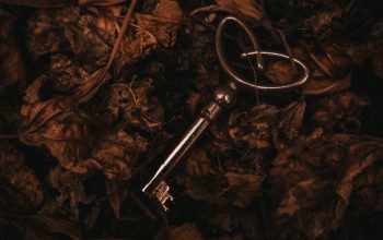 Wallpaper A Key Laying on Top of Leaves on the Ground