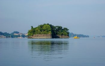 Wallpaper A Small Island with Trees