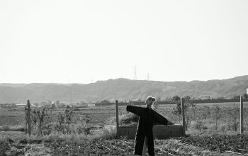 Wallpaper A Person Standing in a Field