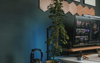 Wallpaper A Desk with a Plant on It