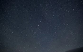 Wallpaper A Person Standing in a Starry Field
