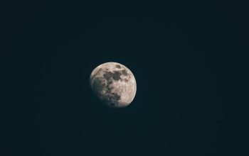 Wallpaper A Full Moon in the Dark Night Sky