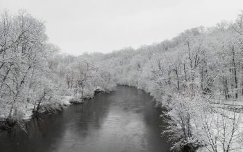 Wallpaper A River Running Through a Snow-Covered Forest