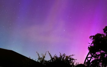 Wallpaper A Purple and Green Aurora Borealis