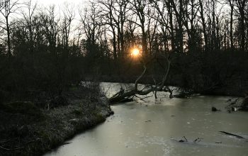 Wallpaper The Sun is Setting Over a Frozen River