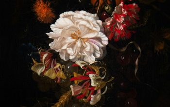 Wallpaper Flowers and Grapes in a Dark Still Life Painting