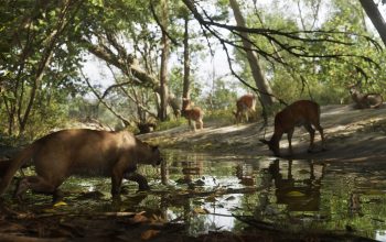 Wallpaper GTA 6 Mount Kalaga National Park Forest