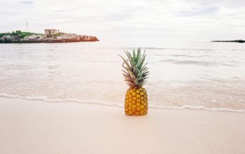 Wallpaper Pineapple on Sand Near Beach