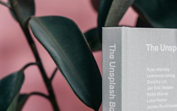 Wallpaper The Unsplash Book: Selective Focus Photography