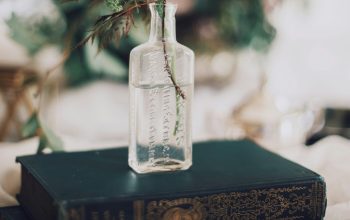 Wallpaper Selective Focus Photography of Green Leafed Plant on Glass Bottle