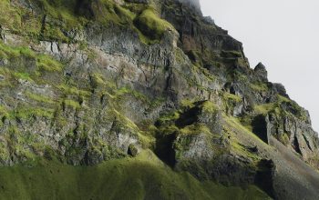 Wallpaper Green and Brown Hill