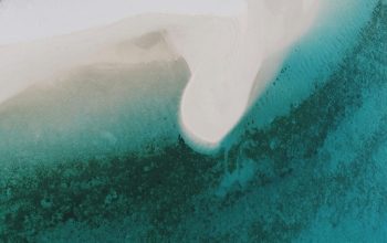 Wallpaper A White Surfboard Sticking Out of the Water
