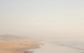 Wallpaper Group of People on Shore