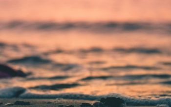 Wallpaper Foreground Photography of Sand Near Shore