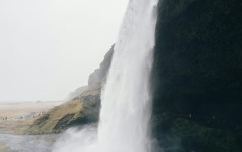 Wallpaper Waterfalls Surrounded by Lush Greenery