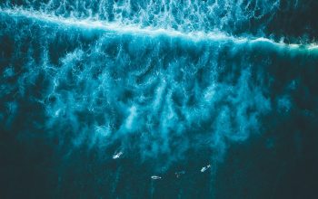 Wallpaper Bird’s Eye View of Ocean Waves