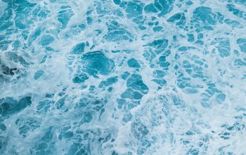 Wallpaper Body of Water at Daytime