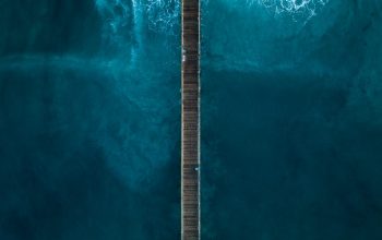 Wallpaper Aerial Photography of Person Standing on Dock Beside Sea at Daytime