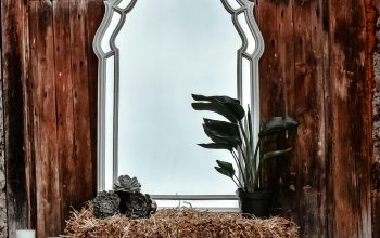 Wallpaper Gray Framed Leaning Mirror with Hay and Potted Green Leaf Plant