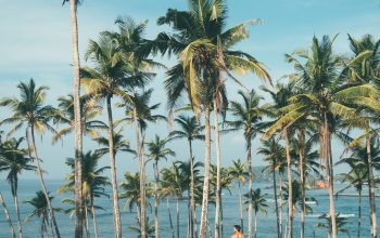 Wallpaper Man Wearing Black Shorts Beside Palm Tree