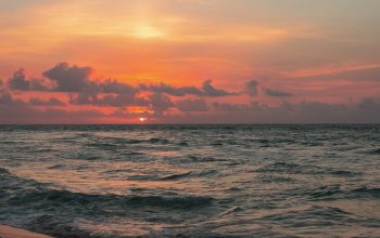 Wallpaper Shore Near Ocean at Golden Hour