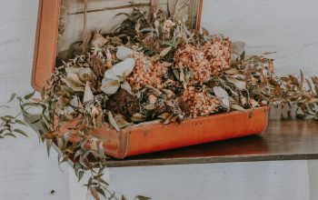 Wallpaper Orange Flowers on Orange Case
