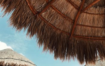 Wallpaper Brown Thatched Roof
