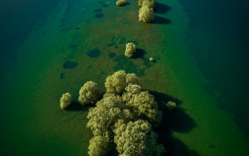 Wallpaper Birds Eye View of Islet