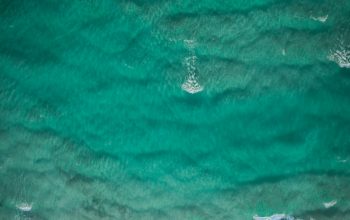 Wallpaper Aerial Photo of Green Body of Water at Daytime