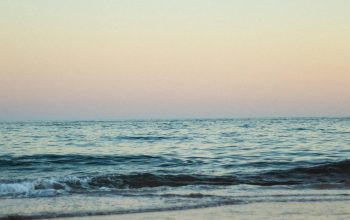 Wallpaper Seashore Beside a Body of Water