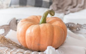 Wallpaper Pumpkin on Tray