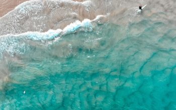 Wallpaper Bird’s Eye View of Sea Shore