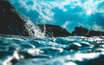 Wallpaper Body of Water