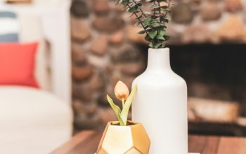 Wallpaper White Ceramic Flower Vase