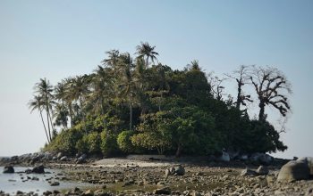 Wallpaper Brown and Green Islet near Shoreline