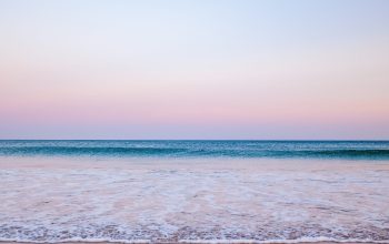 Wallpaper Seashore Daytime
