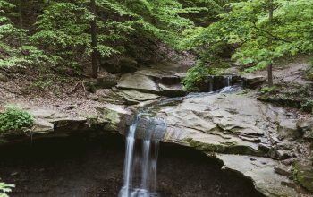 Wallpaper Mini Waterfalls Surrounded by Tall Trees