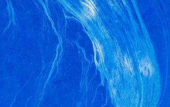 Wallpaper A Close Up View of a Blue Water Surface