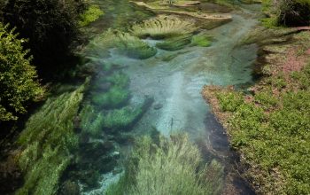 Wallpaper Aerial Photography of Body of Water Surrounded by Trees