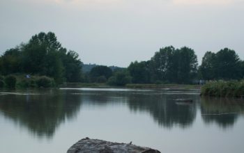 Wallpaper Log on Lake