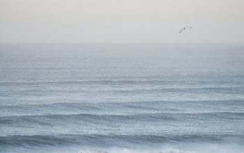Wallpaper Waves of Water