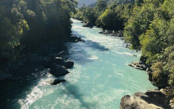 Wallpaper A River Running Through a Lush Green Forest