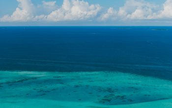 Wallpaper Ocean During Day