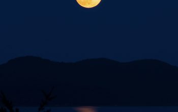 Wallpaper Silhouette of Tree and Mountain at Night