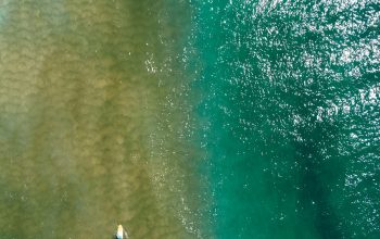 Wallpaper Aerial View of Body of Water During Daytime
